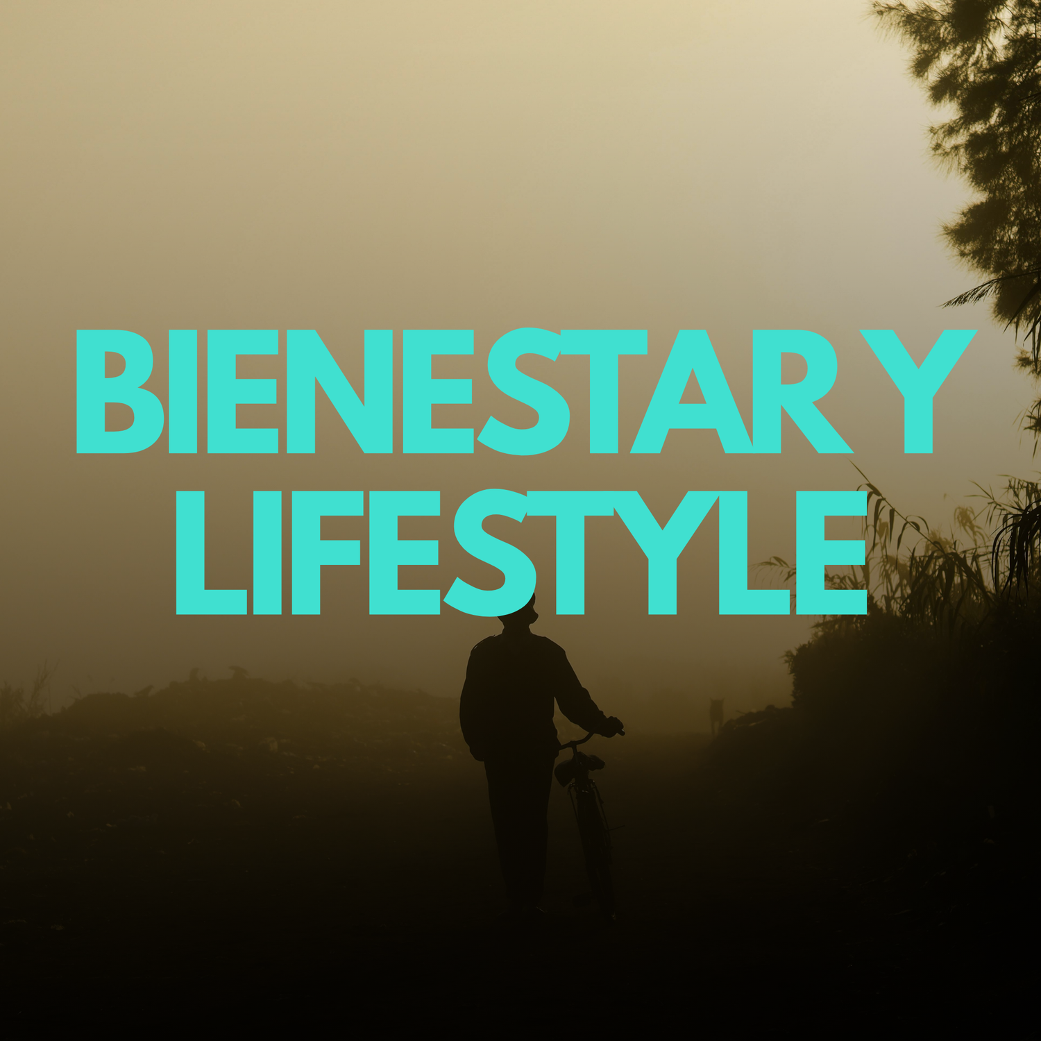 Bienestar & Lifestyle